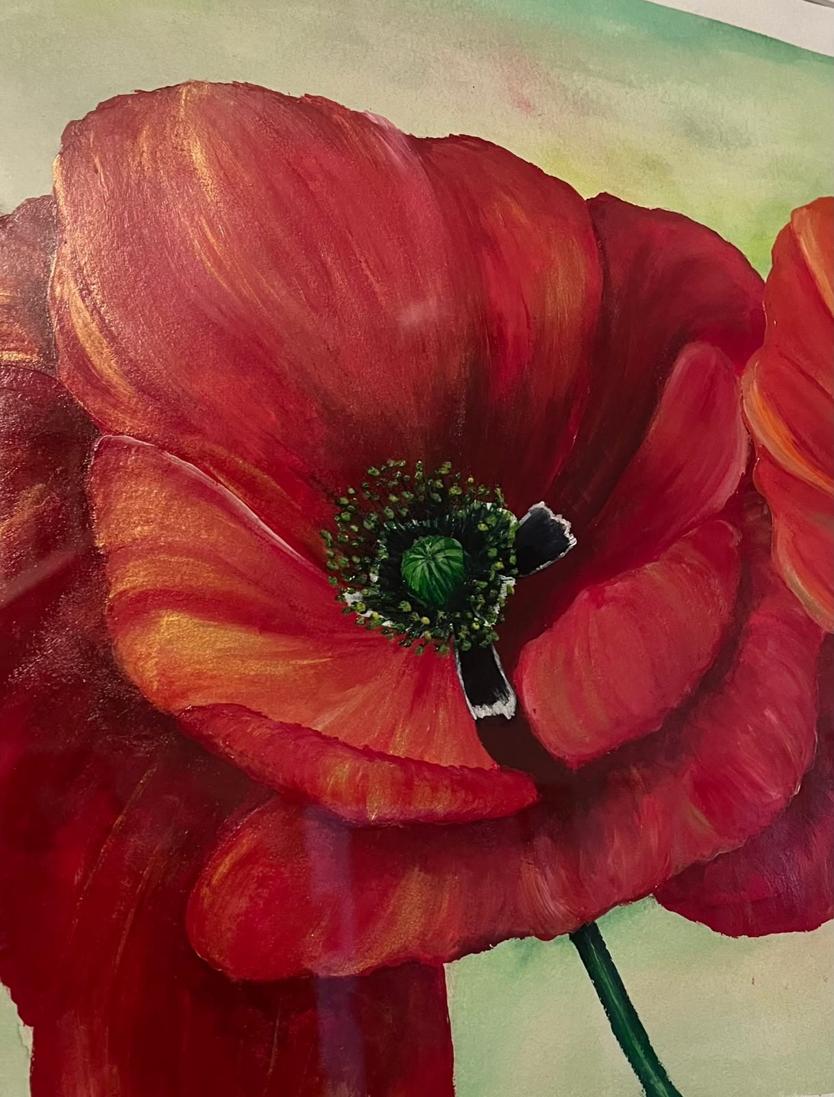 Rote Mohnblume